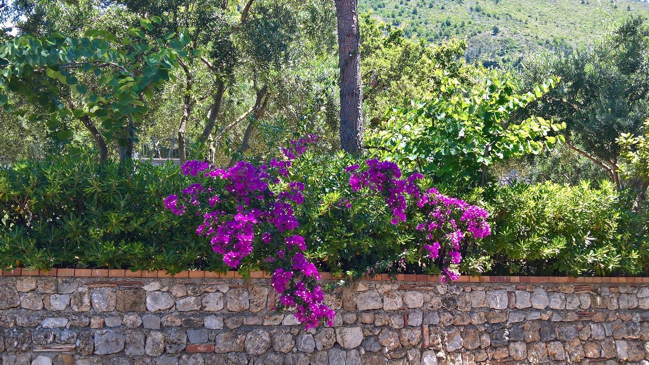 Hotel Cala Del Citro Maratea Extérieur photo
