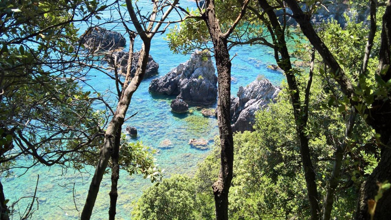 Hotel Cala Del Citro Maratea Extérieur photo